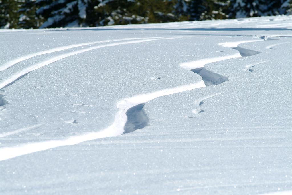 Arriach Grundnerhofヴィラ エクステリア 写真