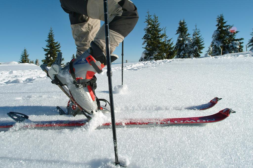 Arriach Grundnerhofヴィラ エクステリア 写真